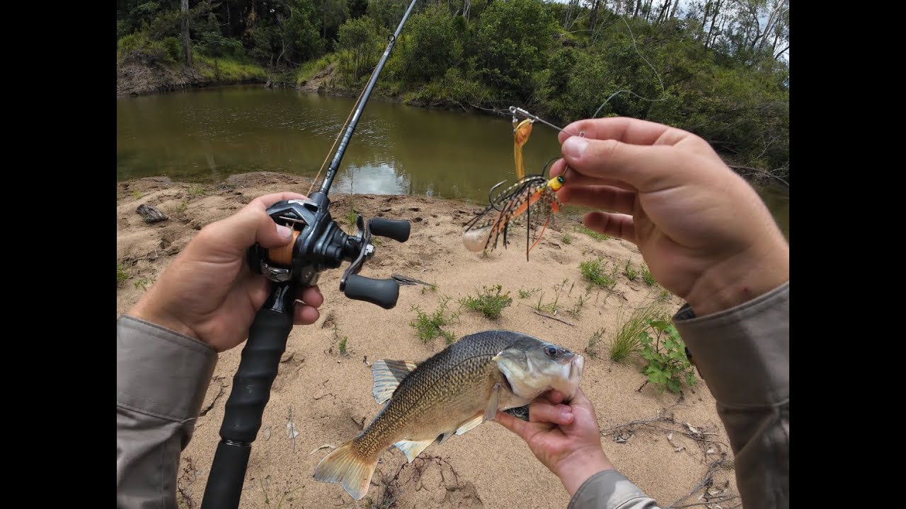 Bank Bashing For Aussie Fish!!!