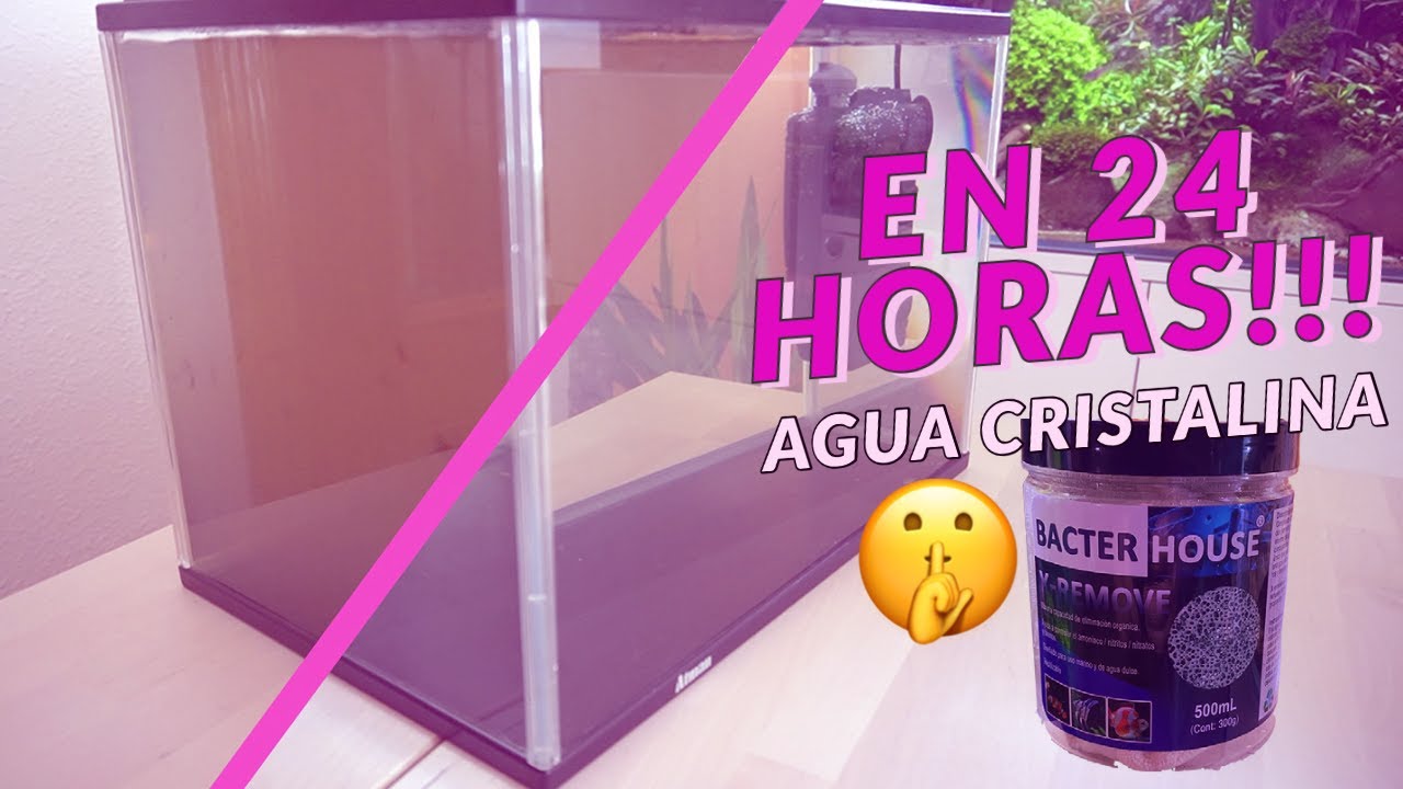 CÓMO ELIMINAR NITRATOS Y TANINOS RÁPIDAMENTE DEL ACUARIO