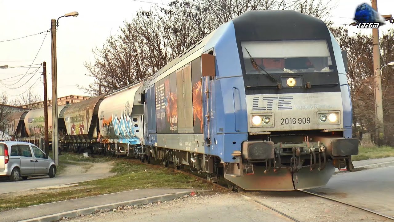 Trenurile Serii & Activitate Feroviară în Gara Oradea Vest - 11 Februarie 2025