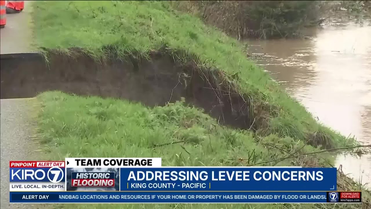 Here are the levees that King County is worried about