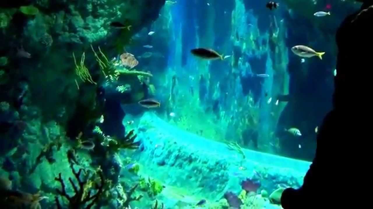 Afrykarium Wrocław