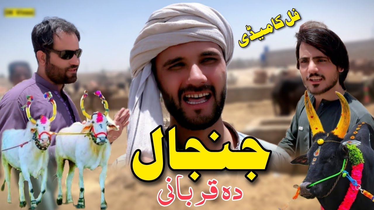 Eid Mubarak Janjal Da Quebani By 3K Vines 2025 Full Comedy New Funny
