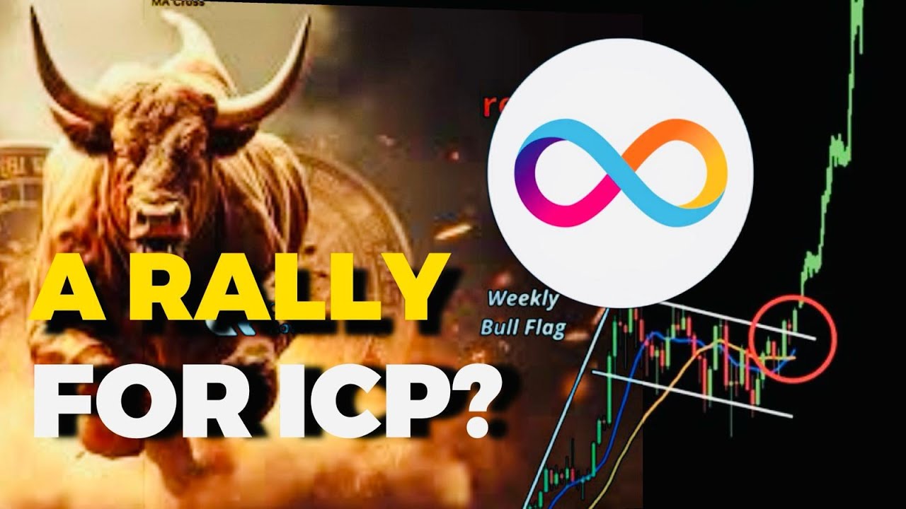 Состоится ли митинг в поддержку ICP INTERNET COMPUTER?