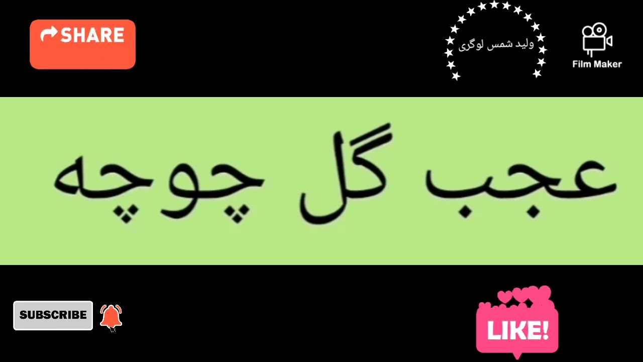 عجب گل چوچه...Ajab gul ...گل شب...ناشر ولید شمس لوگری