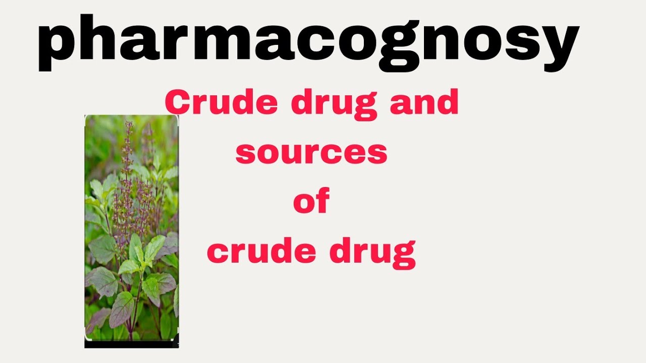 Crude sources of crude drugs part 1 
