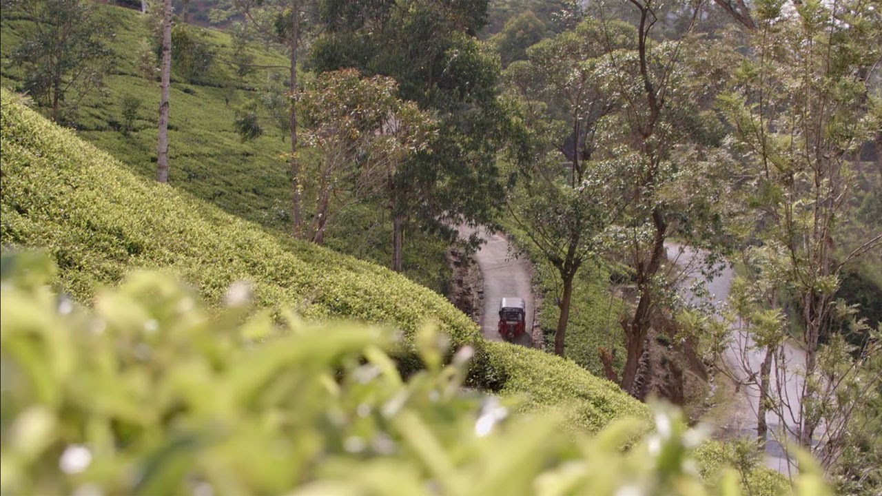 Ceylon Tea Trails, Sri Lanka