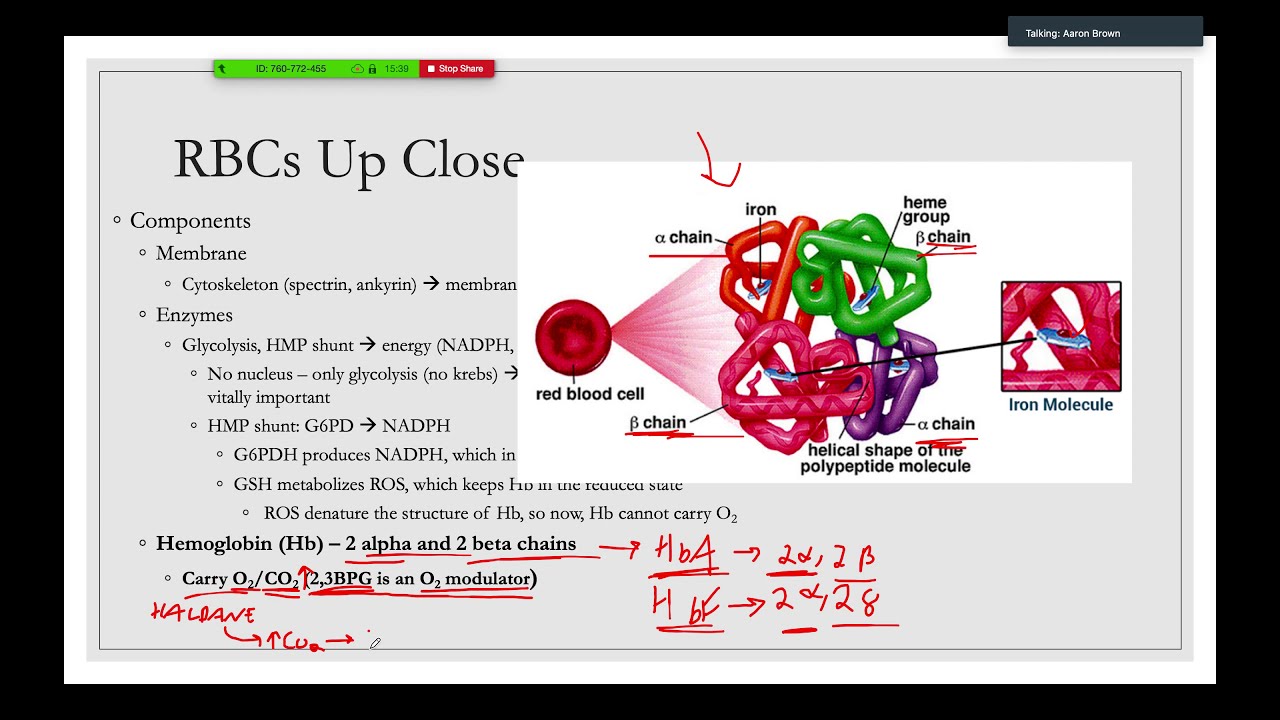 Heme for the USMLE Step 1
