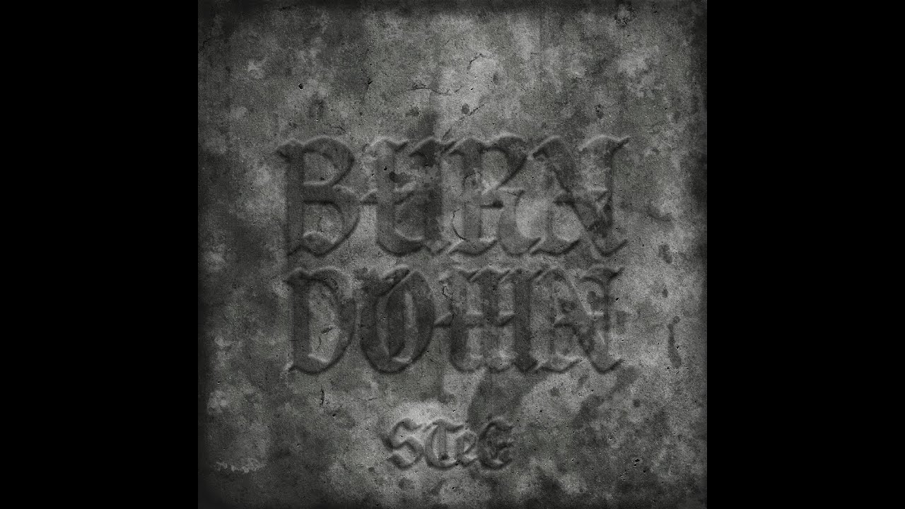 STeG - BURN DOWN