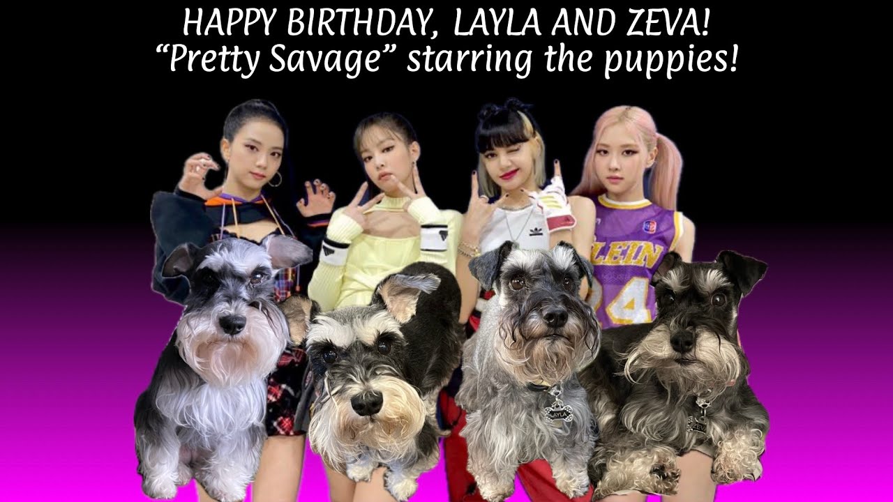 HAPPY BIRTHDAY LAYLA AND ZEVA! 