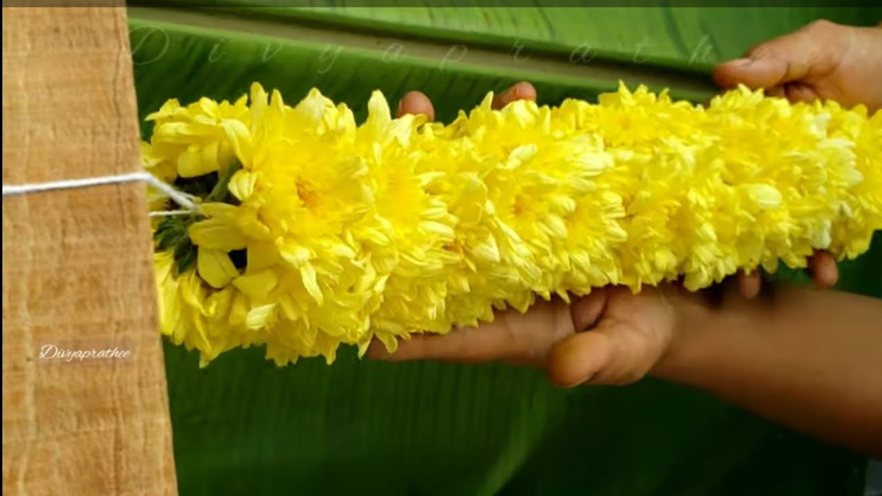 Simple and easy way to string flower garland/Samanthi,sevanthi,chrysanthemums flower garland/DIY