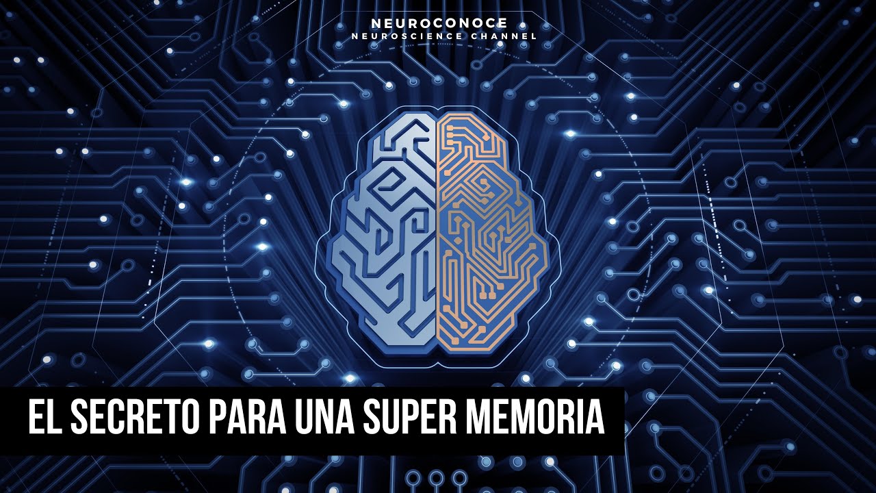Desbloquea tu potencial mental: La acetilcolina y la memoria extraordinaria.