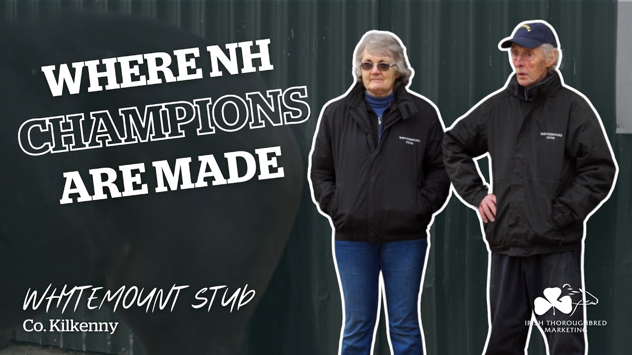 Making National Hunt CHAMPIONS at Whytemount Stud | ITM Irish Stallion Trail 2024
