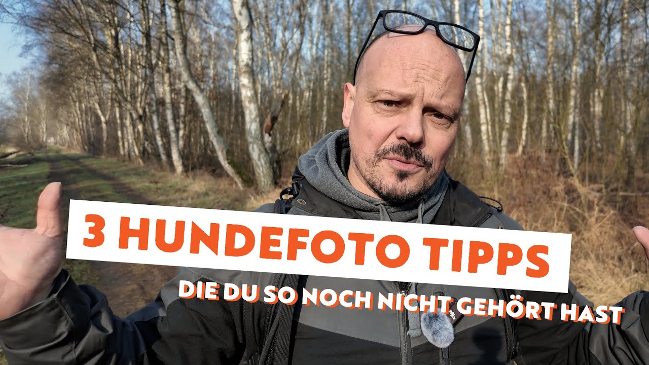 3Tipps zur Hundefotografie, die Du so vielleicht noch nicht gehört hast