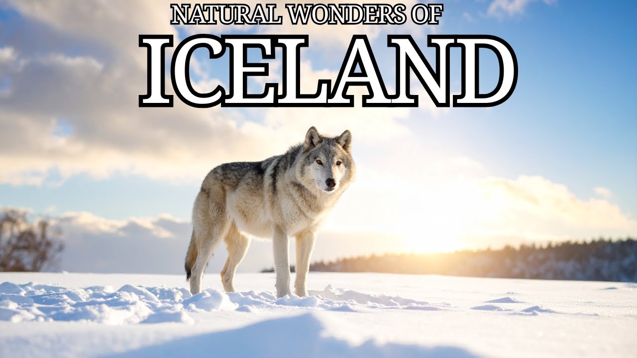 Top 30 Natural Wonders of Iceland: Fire, Ice & Aurora Magic (2026) #nature