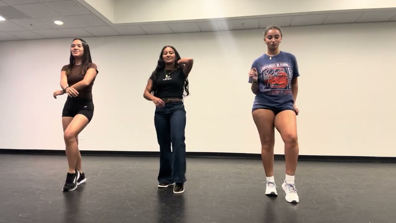 Damn I Love Miami Line Dance (Full Dance)