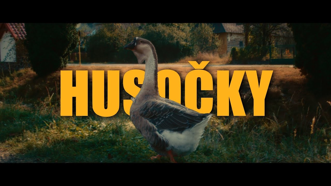 Calibri Gang - HUSOČKY (official video) prod. T Challabeatz
