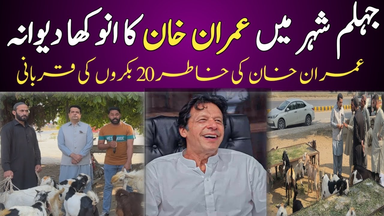 Unique Love for Imran Khan in Jhelum City 20 goats sacrificed