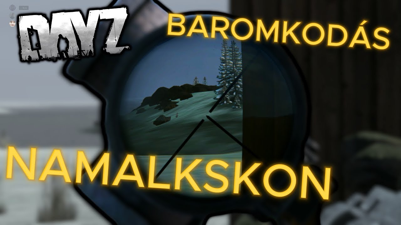 Ez Történik amikor nem látjátok egymás névét | DayZ