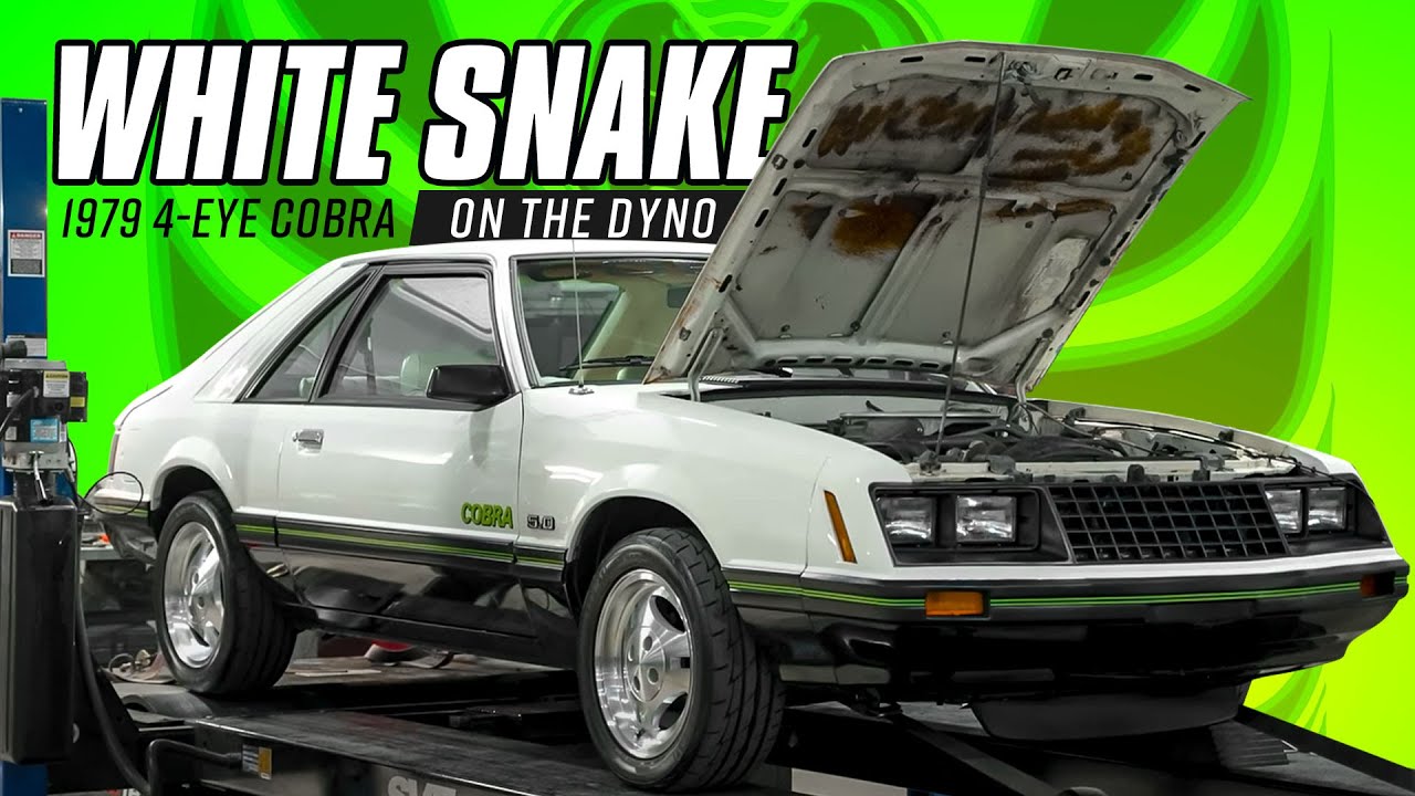 The LOWEST powered V8 we've EVER dyno'd! | 1979 Fox Body Mustang Cobra Dyno