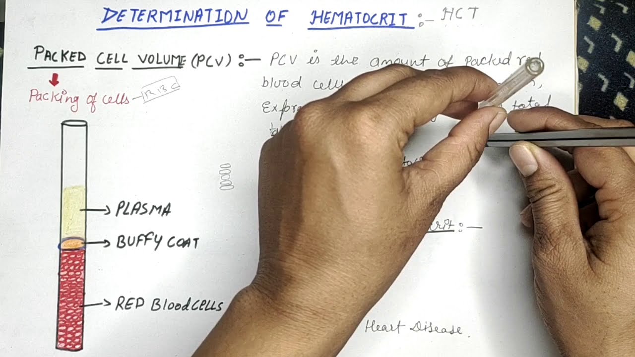 PACKED CELL VOLUME (PCV) / HEMATOCRIT (HCT)