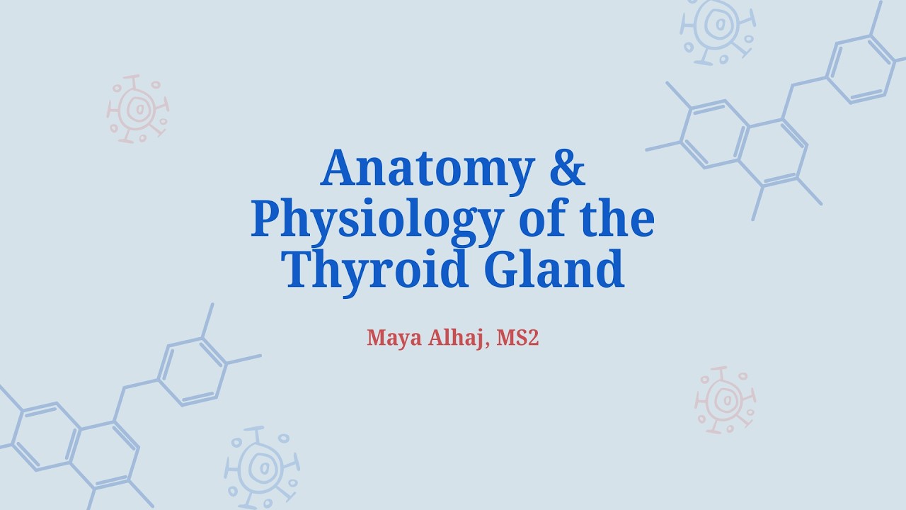 Anatomy & Physiology of the Thyroid Gland | Maya Alhaj | ERP 112