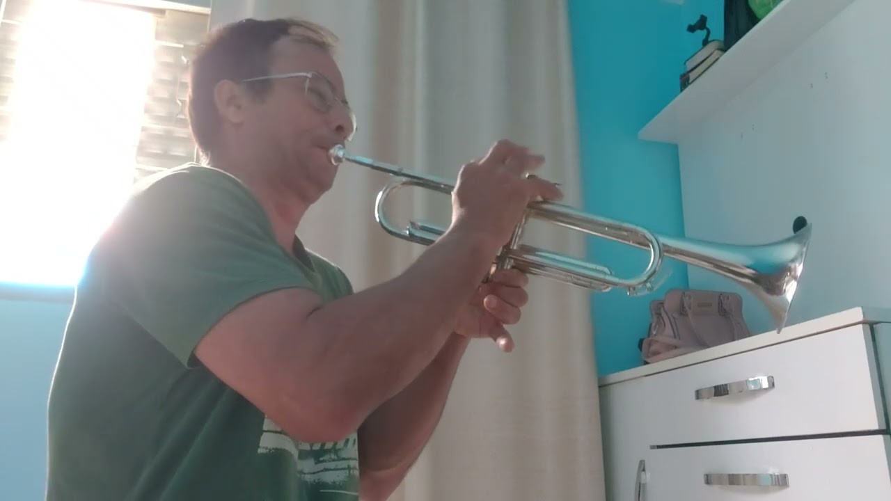 Hino 43. Trema o céu a terra e mar. Playback lindo do irmão André Almeida no trompete 🎺
