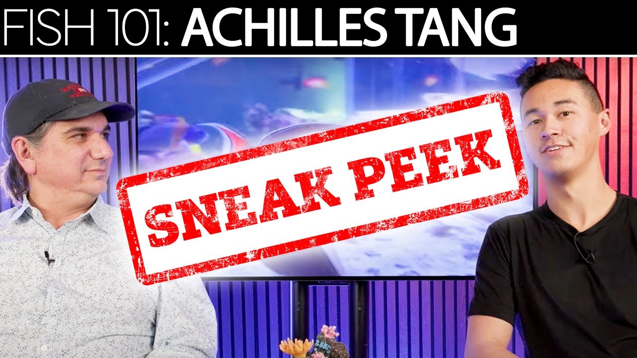 FiSH 101: Achilles Tang Intro