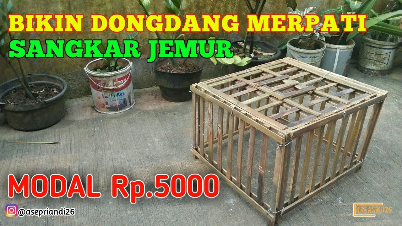 cara membuat dongdang burung merpati | how to make a pigeon cage || cara membuat dongdang burung