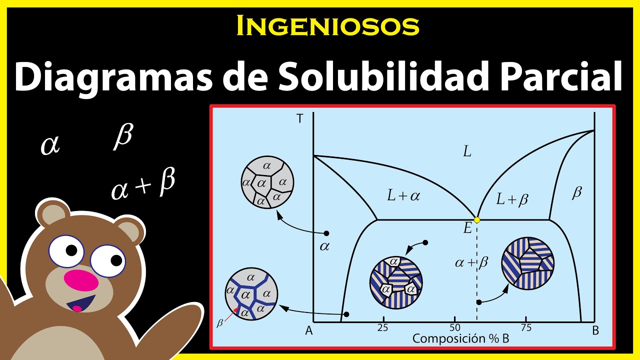 Diagramas de Equilibrio 😀 SOLUBILIDAD PARCIAL