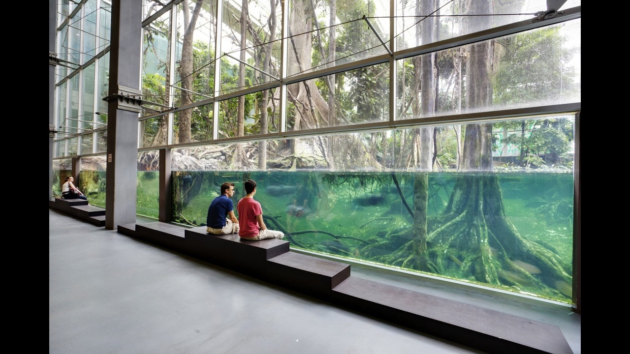CosmoCaixa Museum of Science 2024