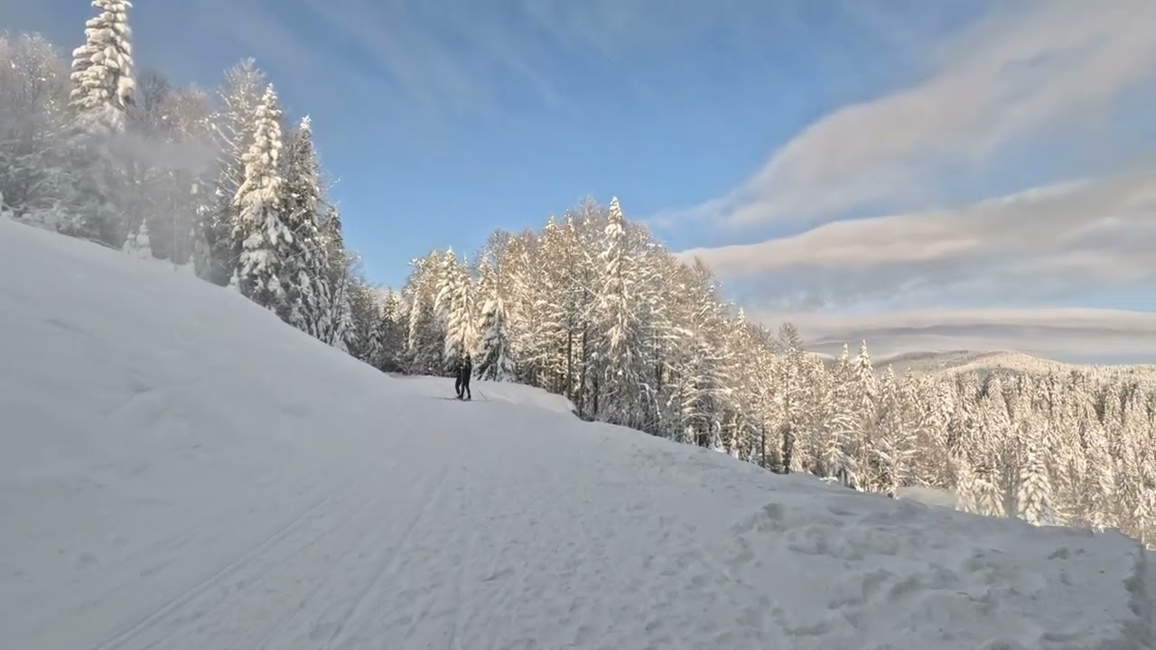 Walking around Cross Country Track - Pamporovo - 29 December 2024- 4K -  @Wandering_sPots