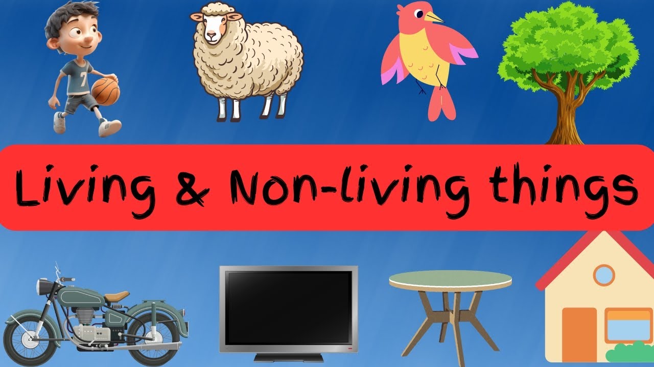 Living Things and Nonliving Things | Living and Non-living Things @ paxberrytv