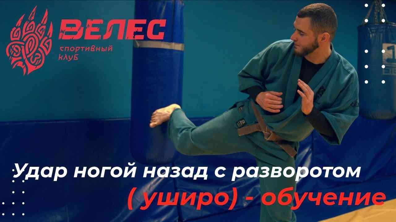 Удар ногой назад с разворотом  ( уширо) - обучение
