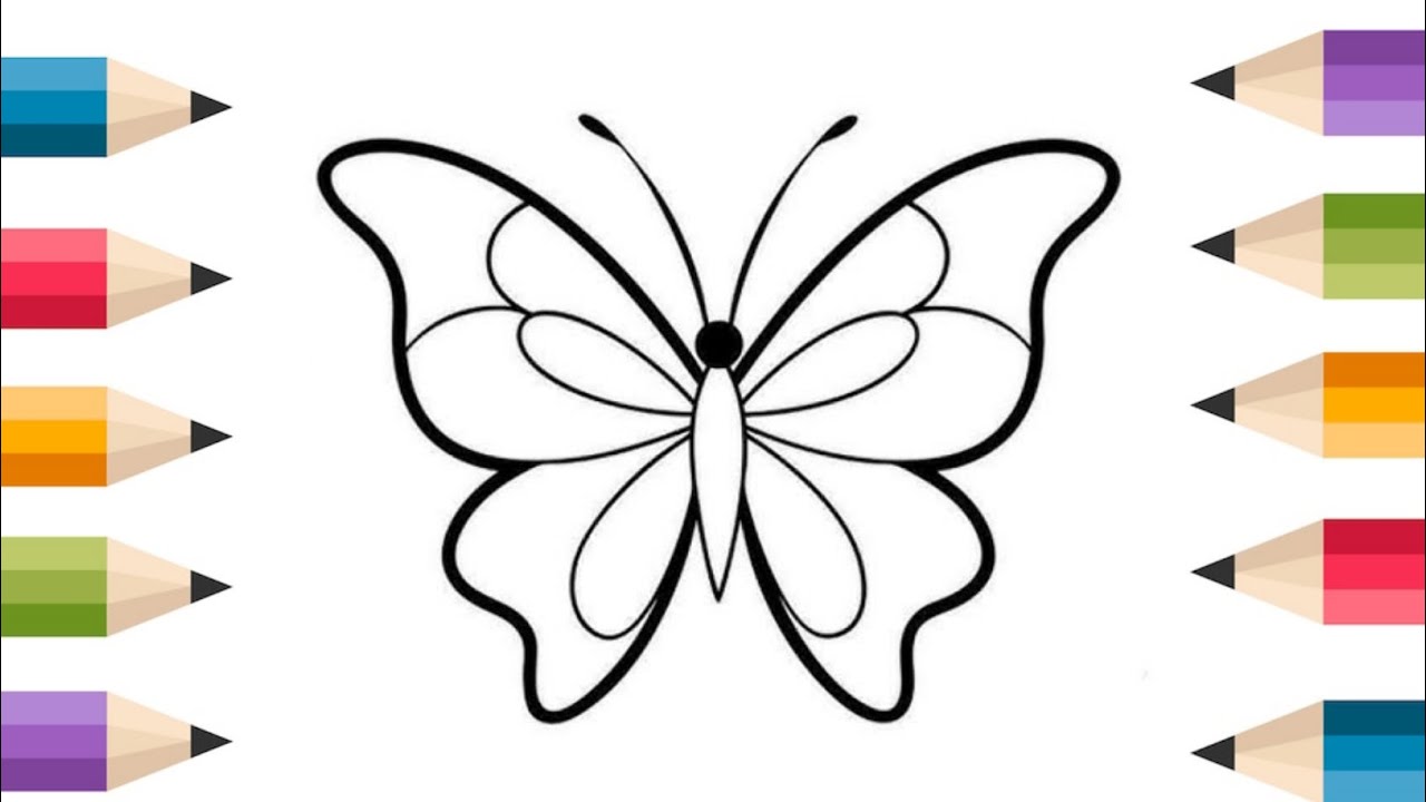 How to Draw a Butterfly For Kids drawing| coloring of a Butterfly easy drawing step by step 🎨🎨🎨