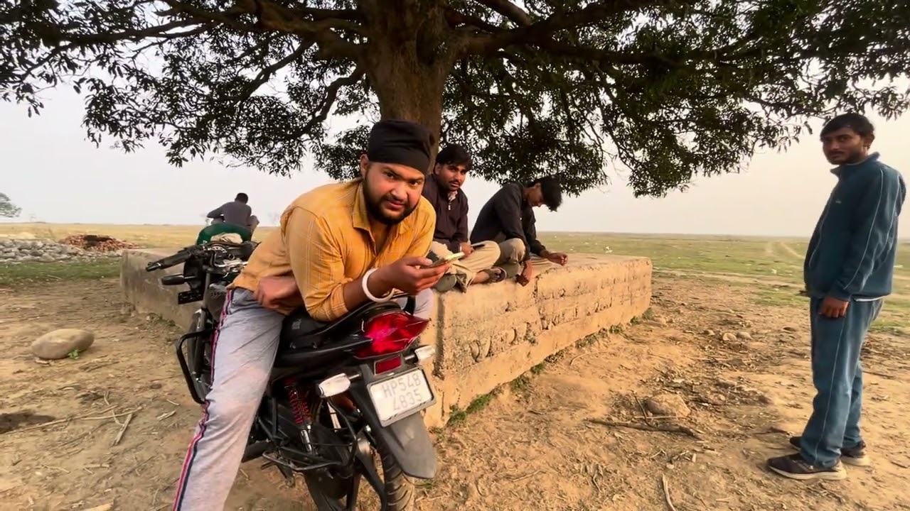 Meow Ghop Ghop Ghop || Hobo Teri Lgi Internship || Mandhir Ke Gante Ki Terh Zindgi Ho Gai ||