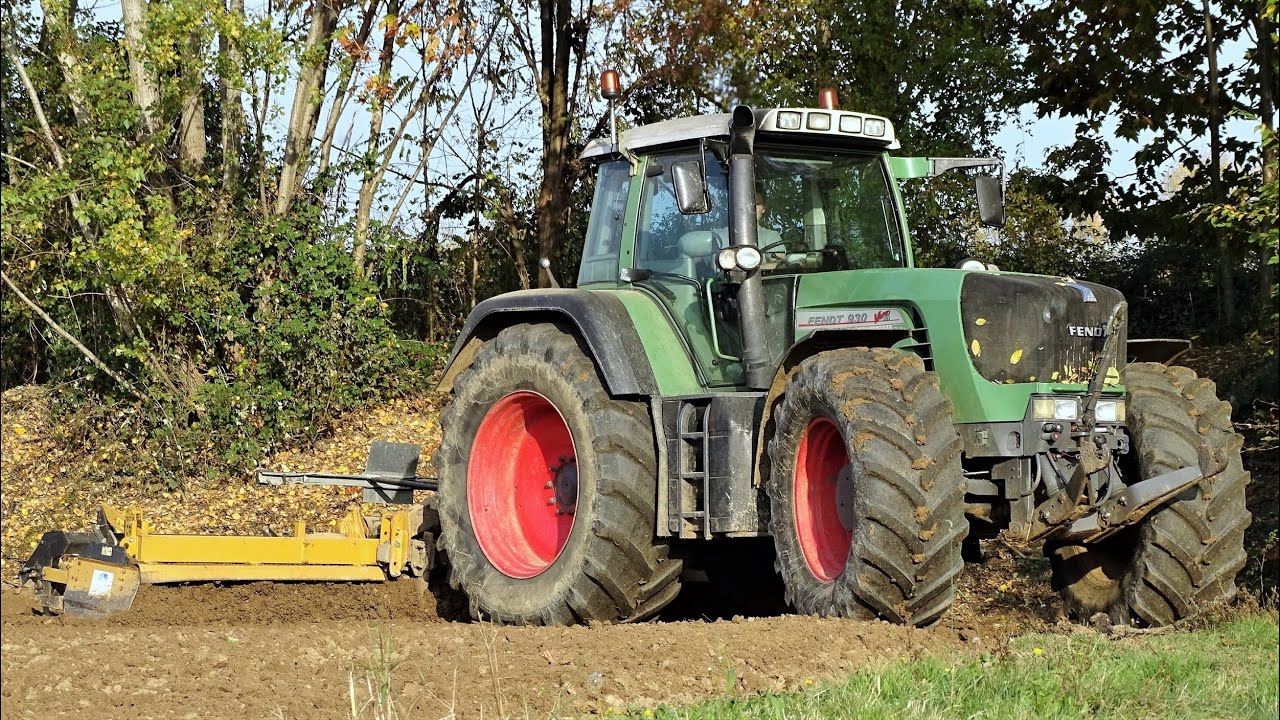 Fendt 930 Vario TMS + Alpego DG 600 | BORTIGNON