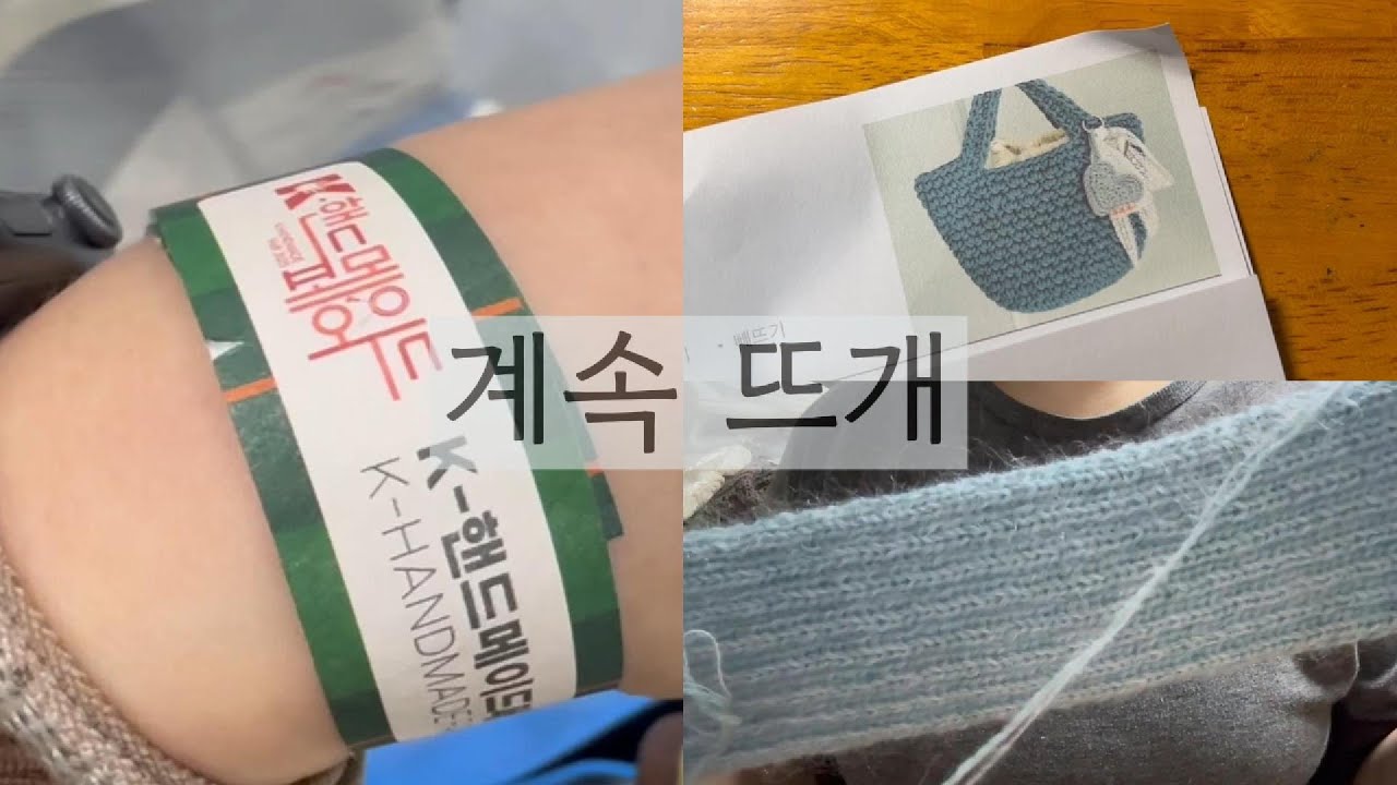 [문어발 뜨개인의 계속 뜨는 브이로그] 늦은 핸드메이드페어 호로록 방문기 / 뜰안 디망쉬백 뜨기 시작 / 다루마 - 베이직 풀오버 팔 뜨기