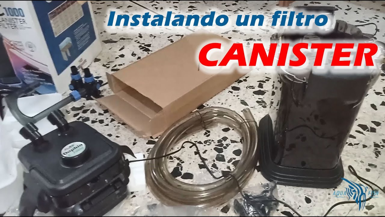 Instalando Filtro Canister a nuestro acuario de Oscares