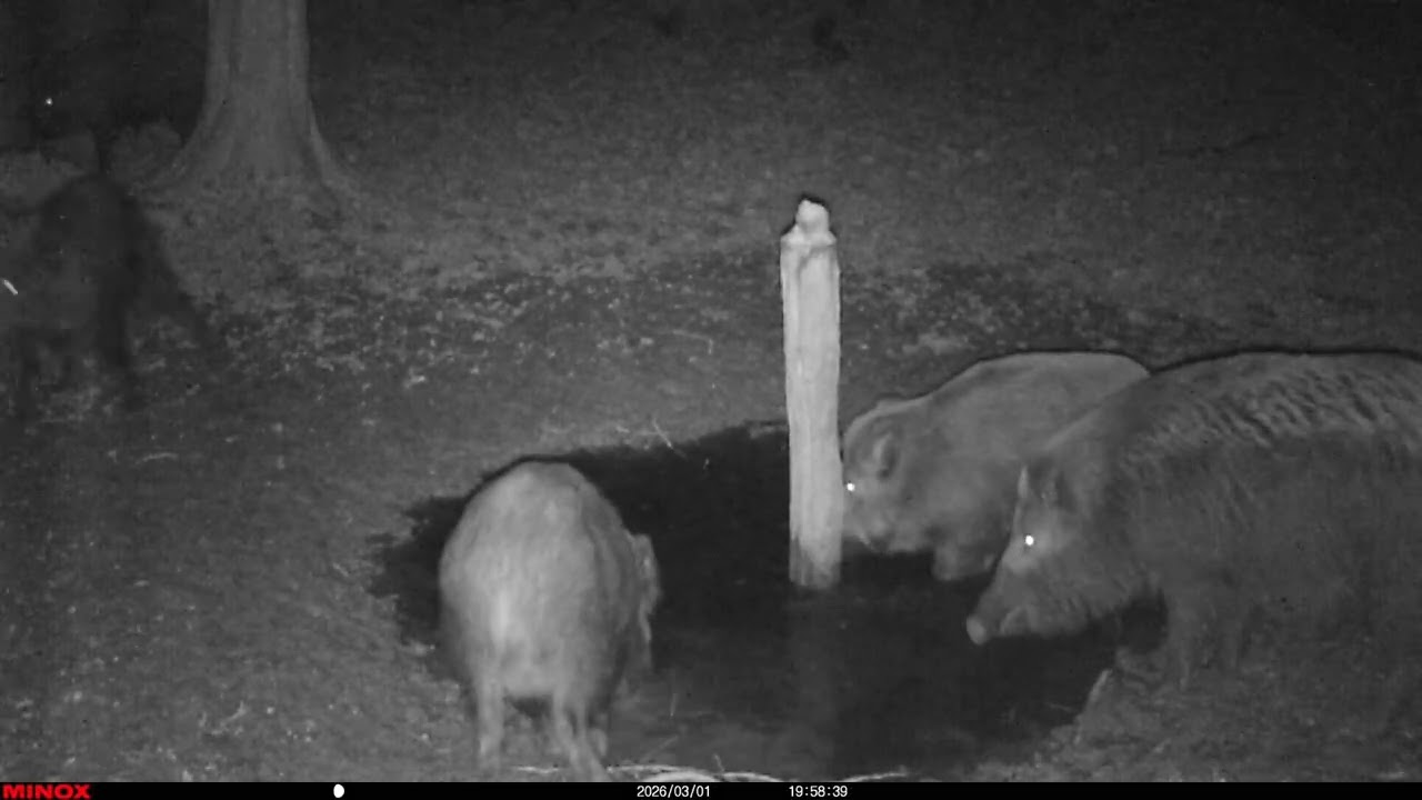 Egy hónap a sózónál 2026  február