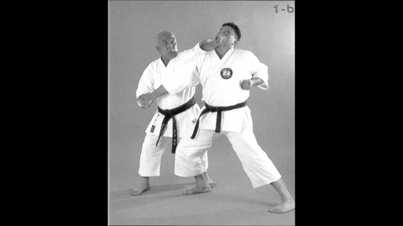 Nippon Budo Sosei Kai Venezuela. (根岸雄一  師範 日本空手道創誠会) (空手道糸東流)