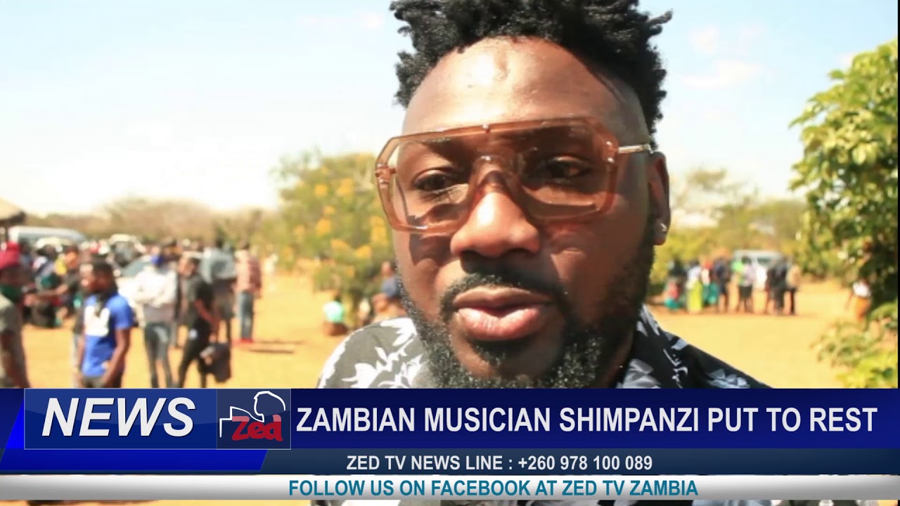 SHIMPANZI death report