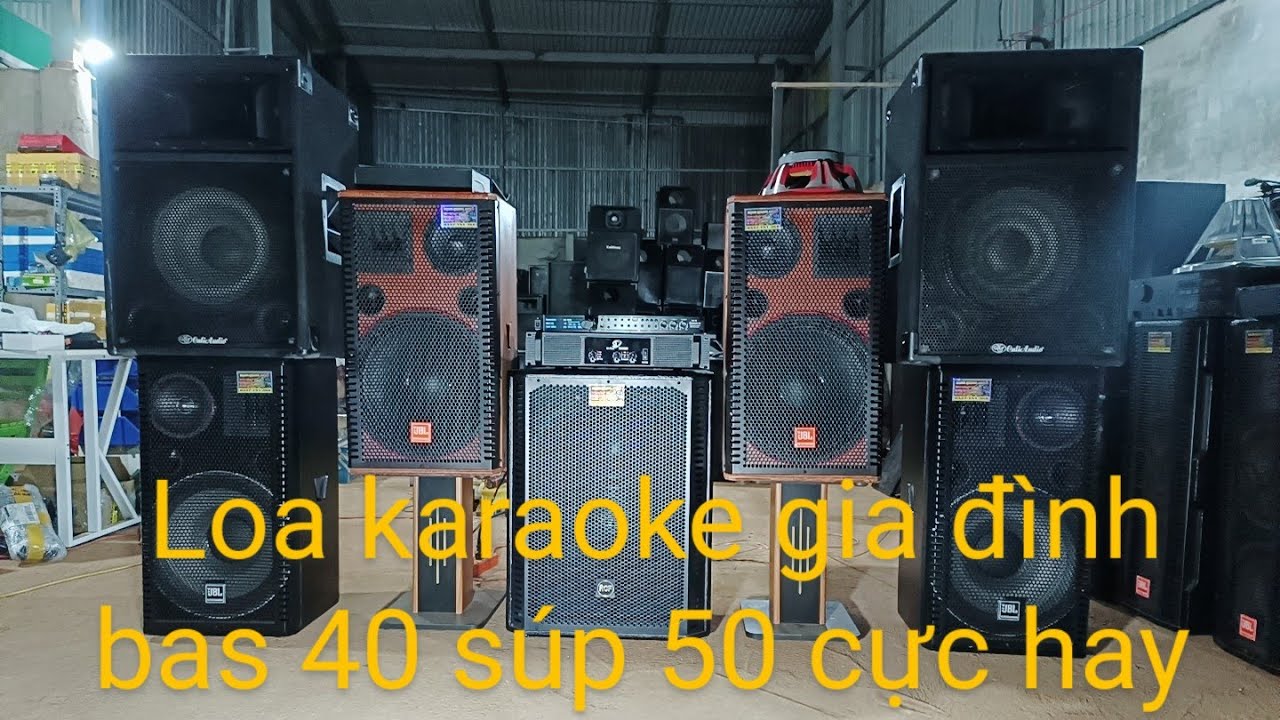 Loa karaoke gia đ&igrave;nh bas 40 cho anh em lựa chọn nh&eacute;, Mạnh Quang audio LS#568