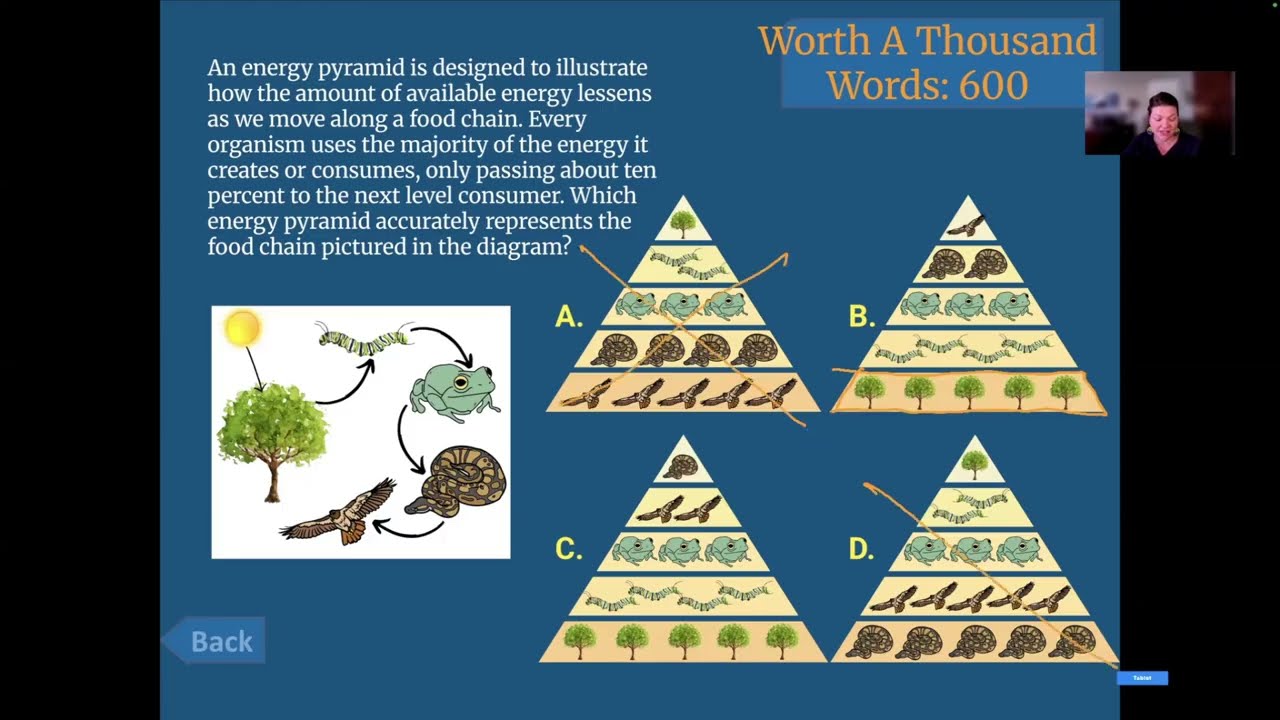 Обзор естественнонаучных тем для GED: стоит тысячи слов (600)