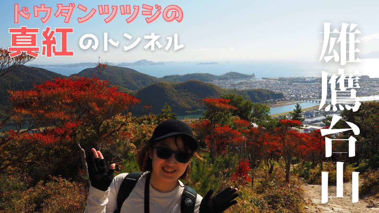 【雄鷹台山（おたかだいやま）】往復１時間のハイキング　ドウダンツツジの紅葉時期に行ってきました