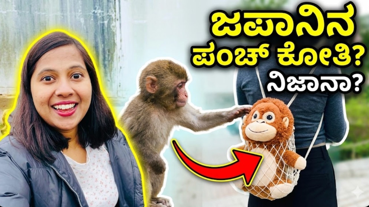 Punch monkey japan  | ಜಪಾನಿನ ಪಂಚ್ ಕುನ್ #kannadavlogs #zoovlog