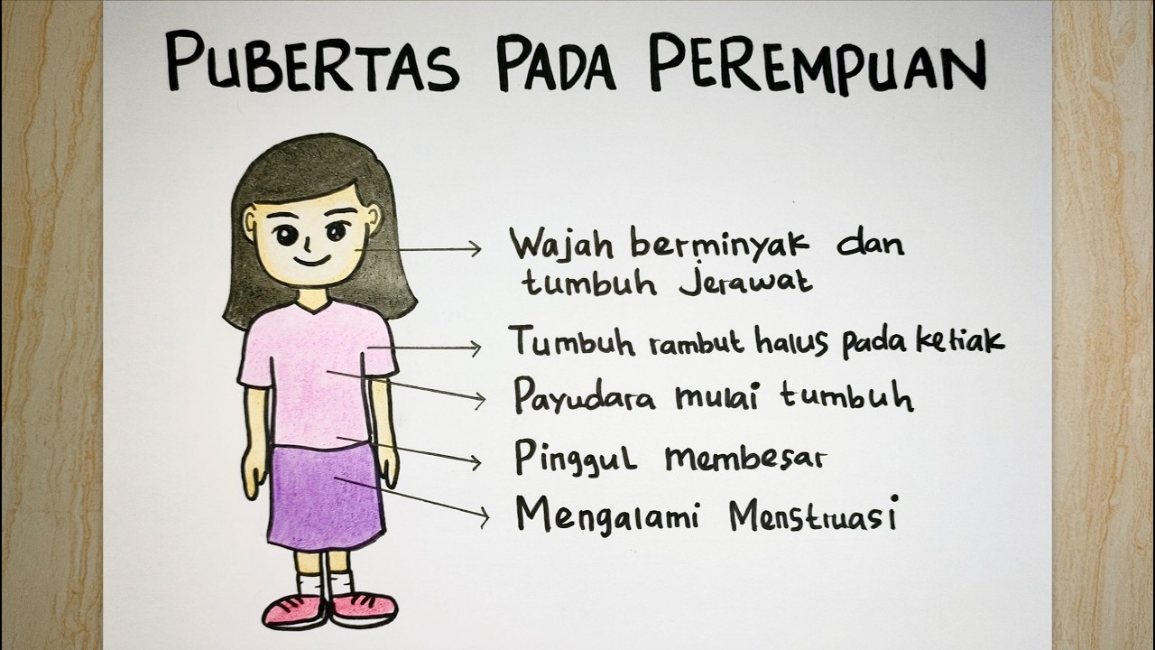 Gambar poster pubertas perempuan - POSTER PUBERTAS