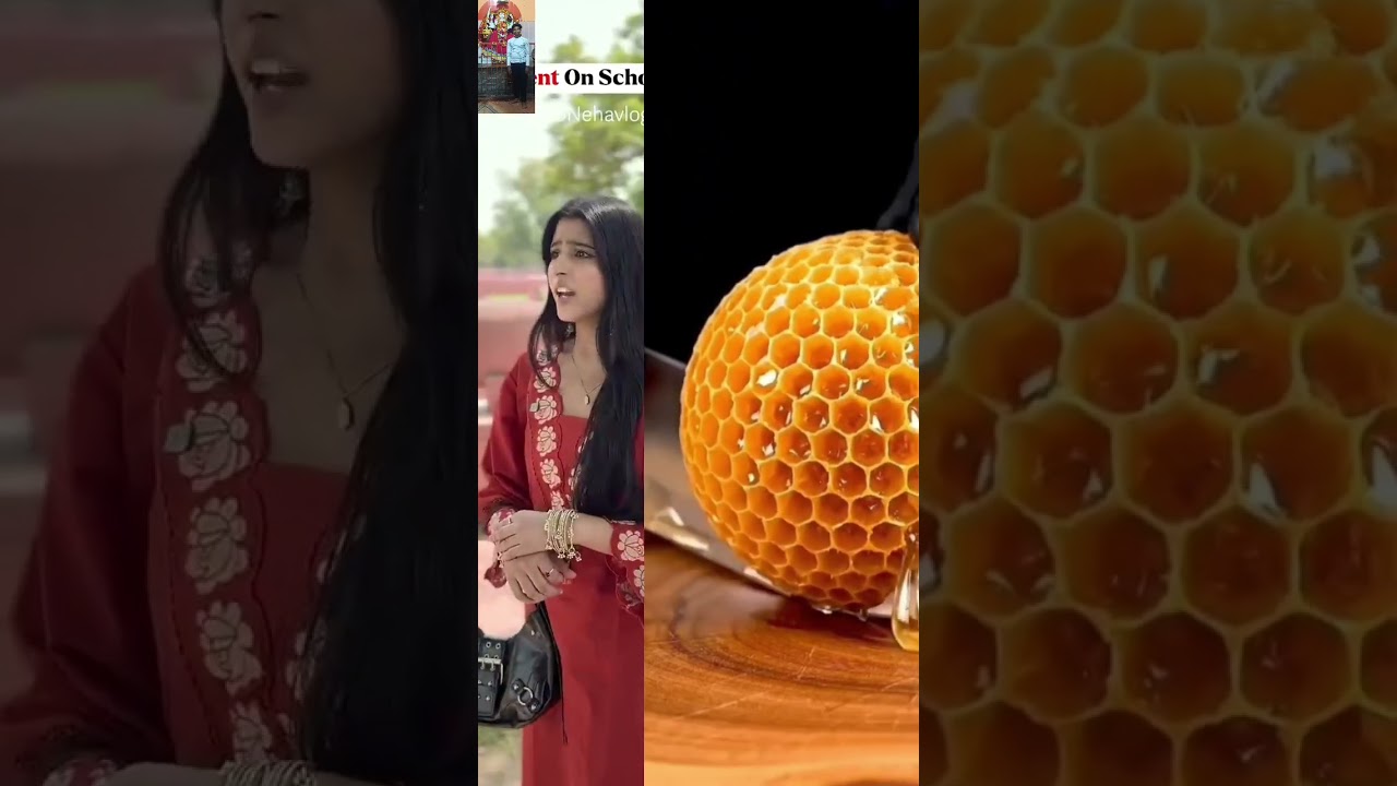 new viral video school picnic and active ho #viral #comedy #shorts #youtubeshorts