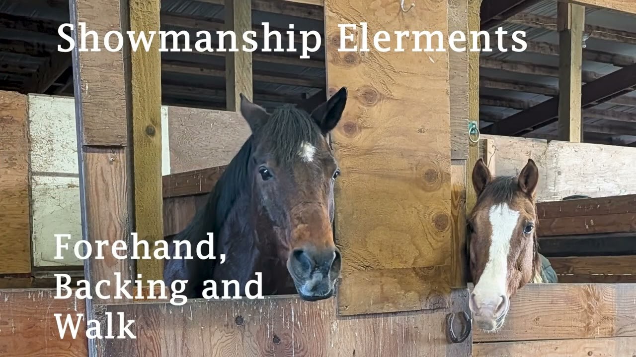 Horse Showmanship