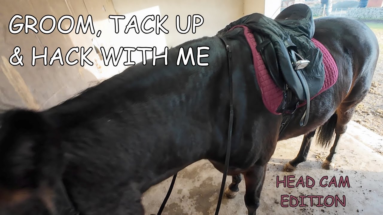 Ride With Me: Grooming, Tacking Up & Hacking POV ASMR | Northern Ireland Equestrian