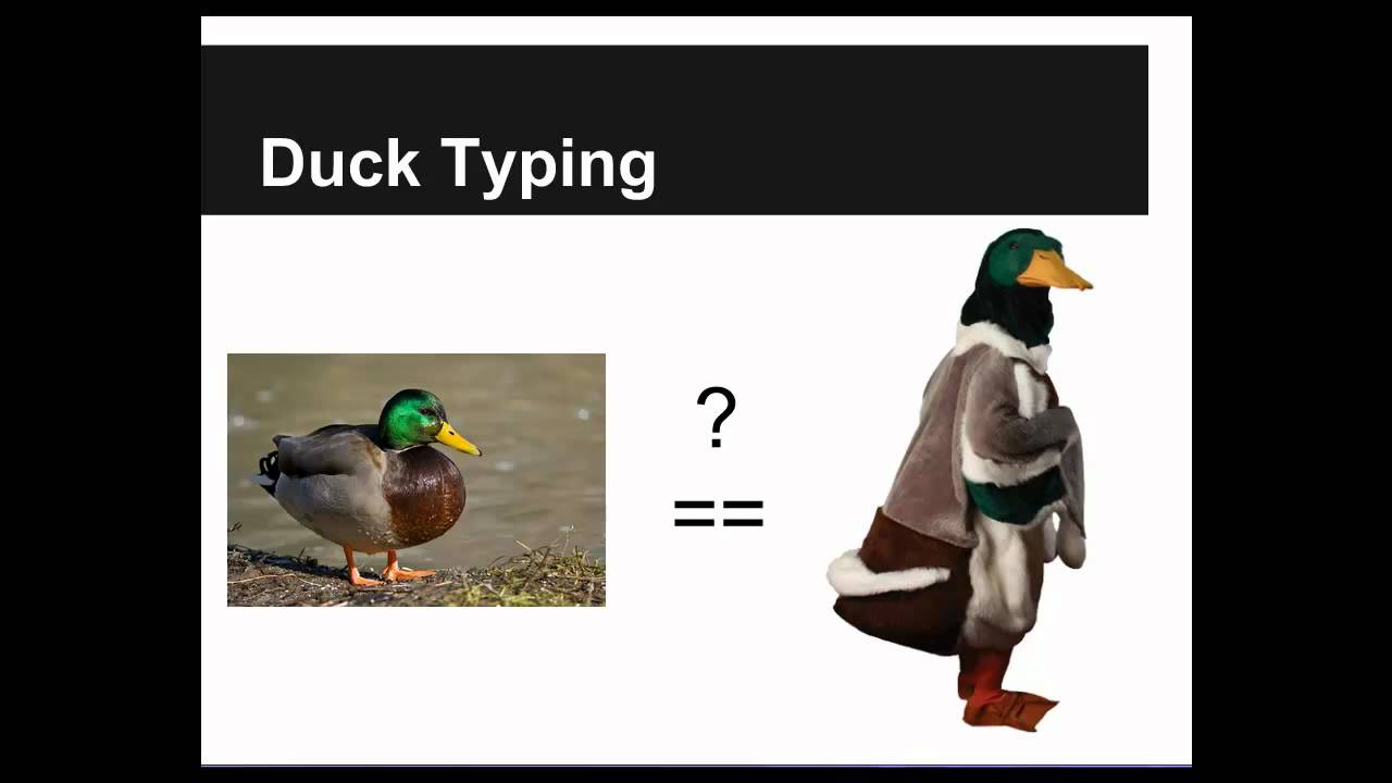 Programming Languages: Static and Dynamic Typing